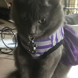 Meet your Posher, Jeannine